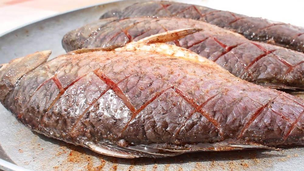 Насечки на спинках карасей Карась и насечки
