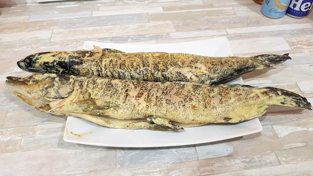 Щука-гриль в сливочном маринаде Щука в сливочном соусе